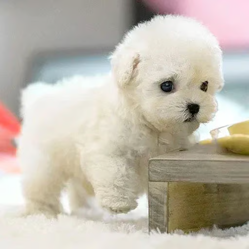 🎁Last Day Promotion 49% OFF🐶My Realistic Robot Puppy