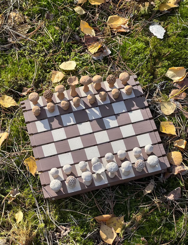 🔥Last 4 hours Sale: Save 50% -🍄 Magnetic Forest Mushrooms Chess