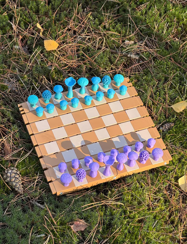 🔥Last 4 hours Sale: Save 50% -🍄 Magnetic Forest Mushrooms Chess