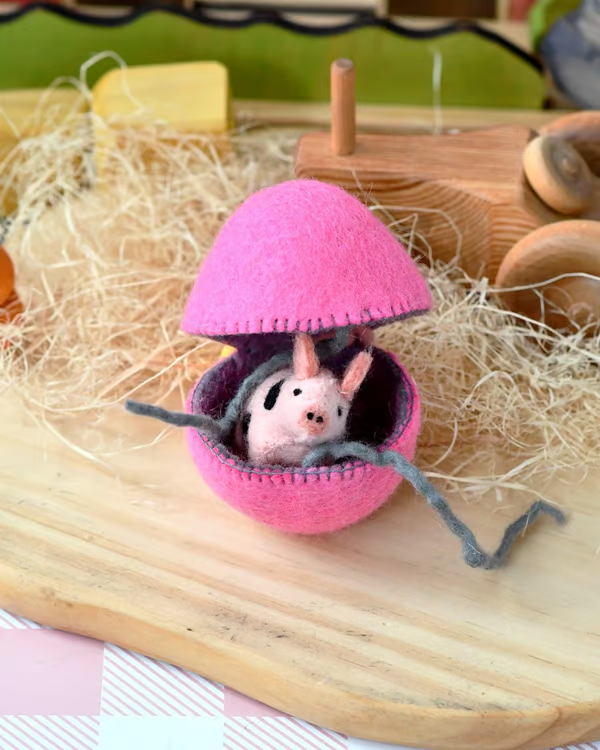 🐣2025 New Easter Arrivals - Surprise Easter Egg from Wool Felt