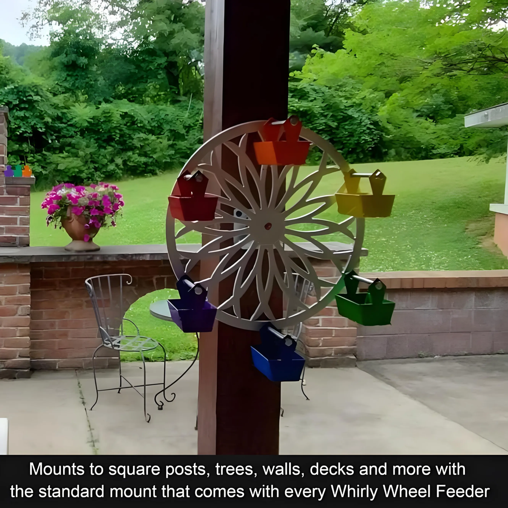 The Ferris Wheel of Fun for Your Feathered Friends