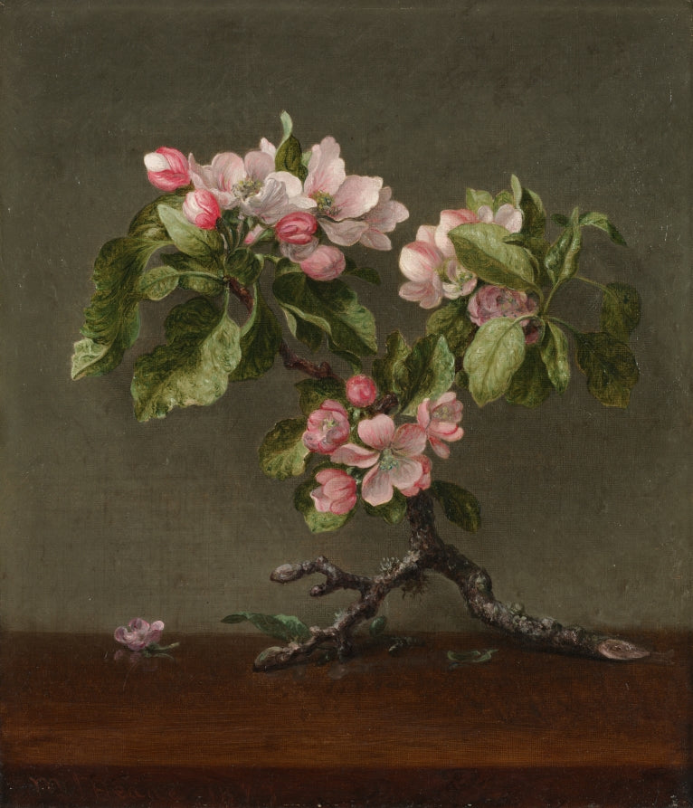 Apple Blossoms by Martin Johnson Heade (American, 1819–1904) - Classic Art canvas print