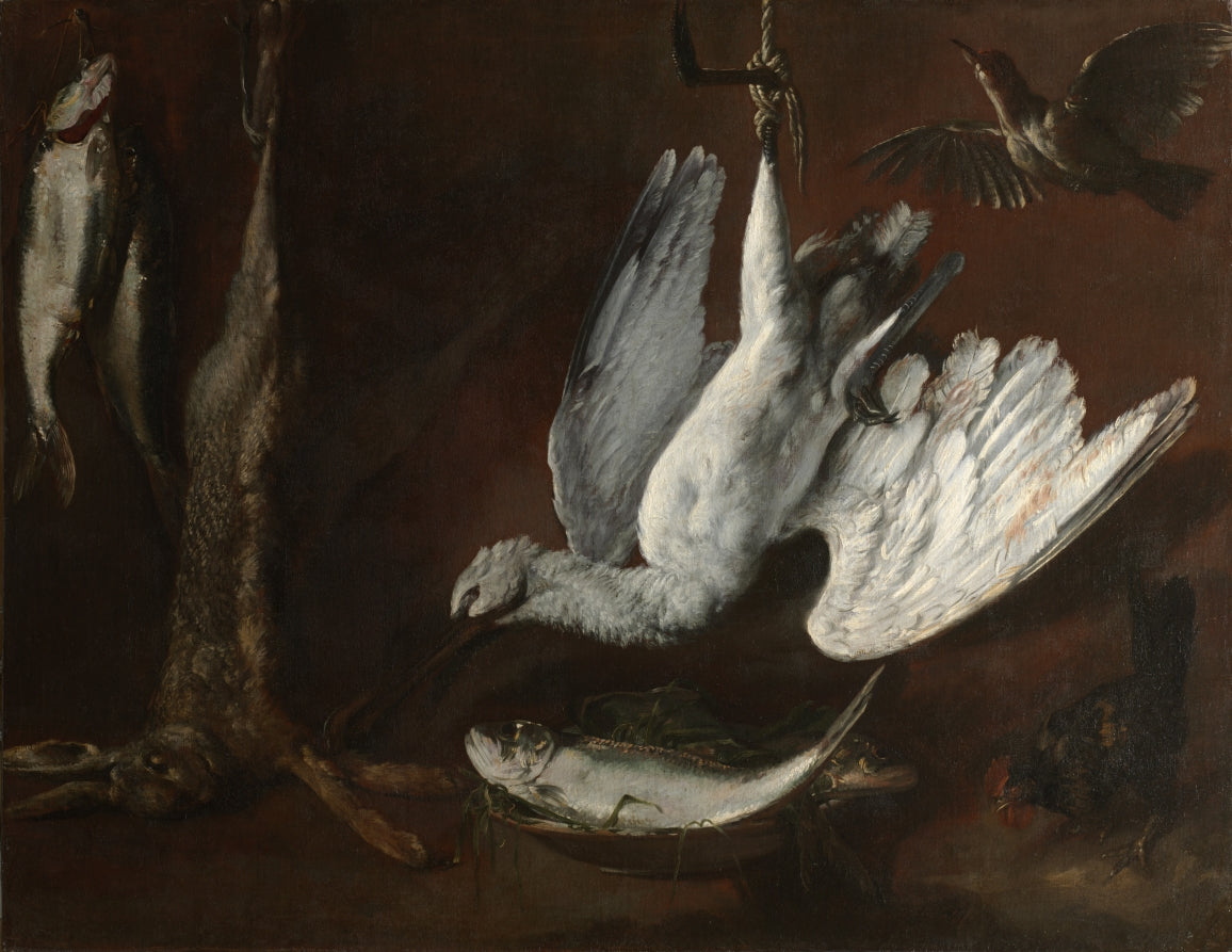 Hare, Spoonbill, and Fish by  - Classic Art canvas print