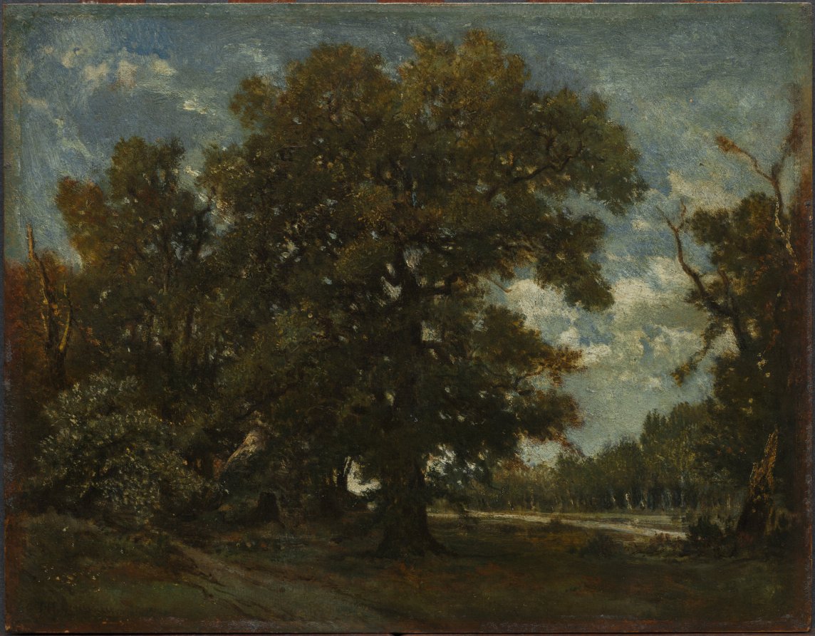 The Oak Tree by Théodore Rousseau (French, 1812–1867) - Naive Art canvas print