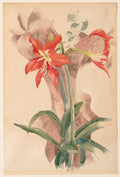 Amaryllis by Charles Demuth (American, 1883–1935) - Classic Art canvas print
