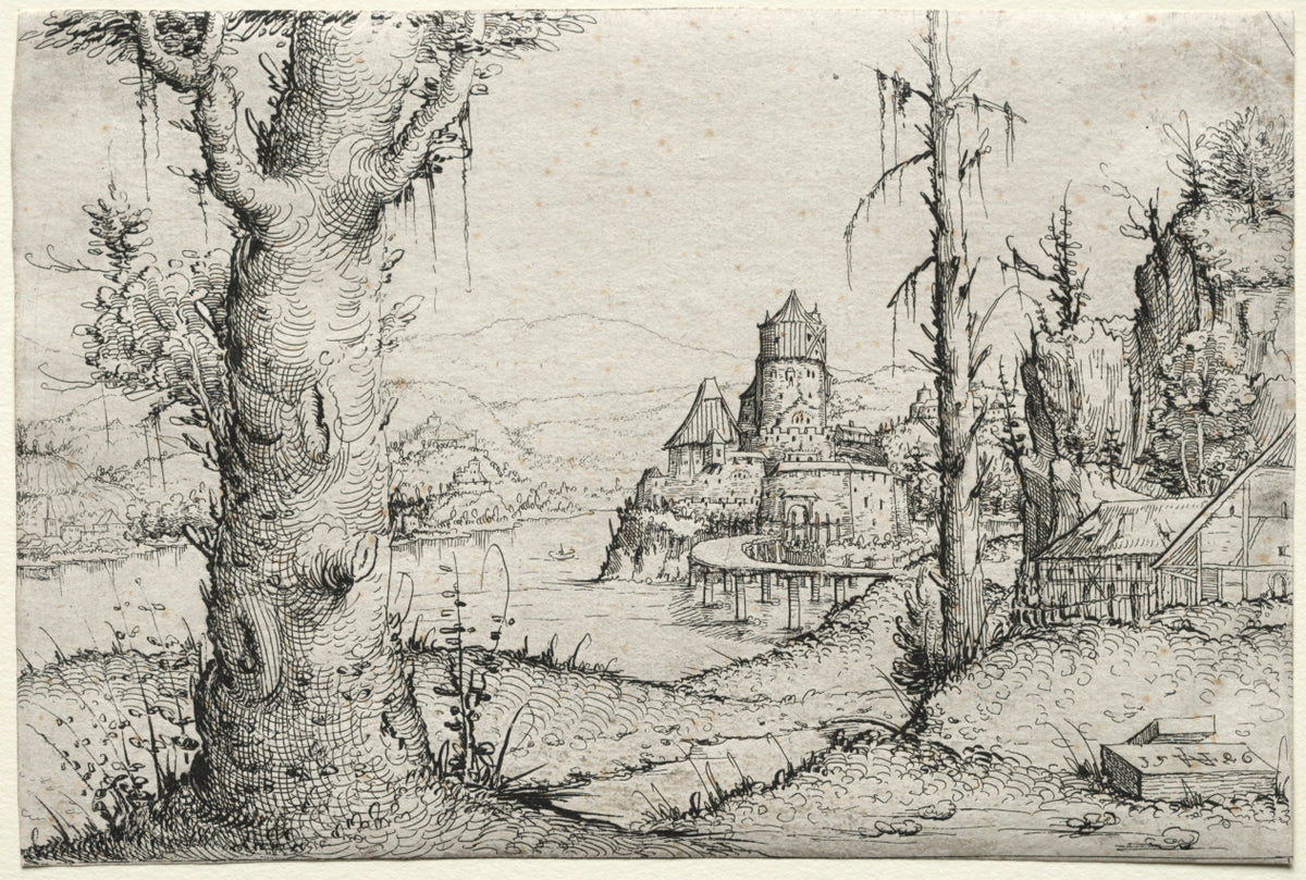 River Landscape with Large Tree at Left by Augustin Hirschvogel (German, 1503–1553) - Classic Art canvas print