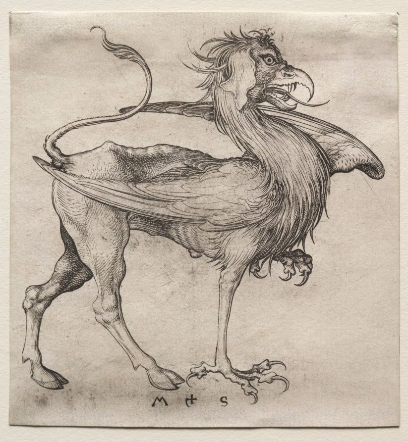 The Griffin by Martin Schongauer (German, c. 1450–1491) - Classic Art canvas print