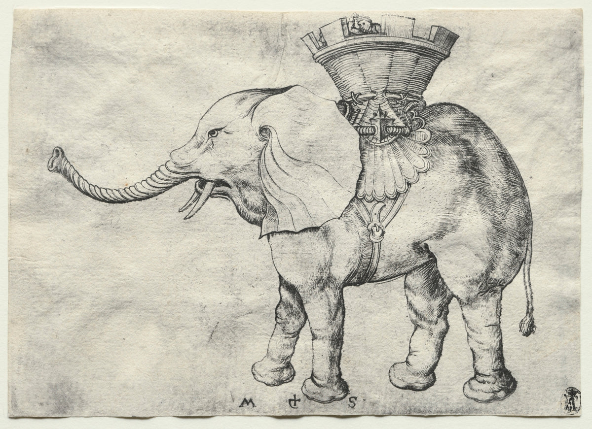 An Elephant with Howdah by Martin Schongauer (German, c. 1450–1491) - Classic Art canvas print