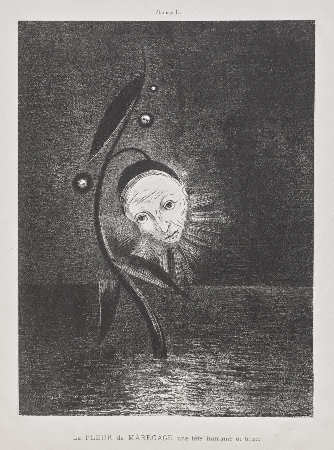 The Marsh Flower, a Sad Human Head by Odilon Redon (French, 1840–1916) - Symbolist canvas print