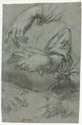 Studies of Hands recto by Carletto Caliari (Italian, 1570–1596) - Classic Art canvas print