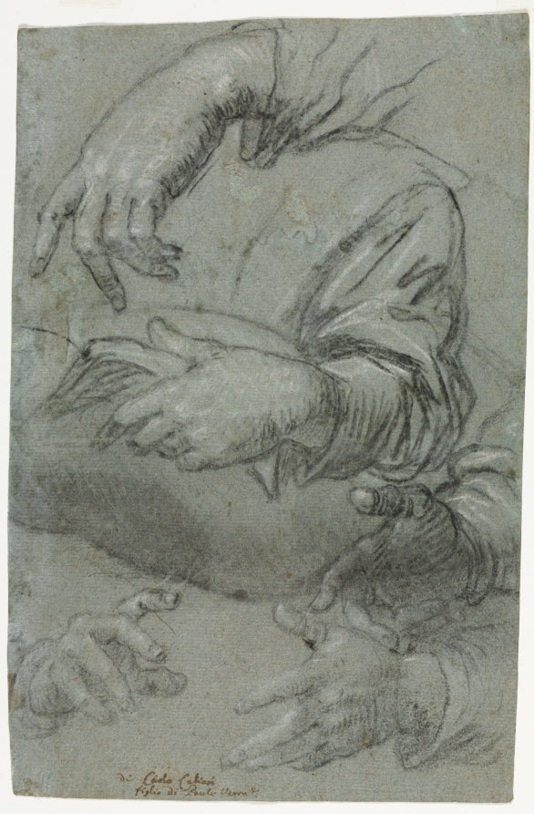 Studies of Hands recto by Carletto Caliari (Italian, 1570–1596) - Classic Art canvas print