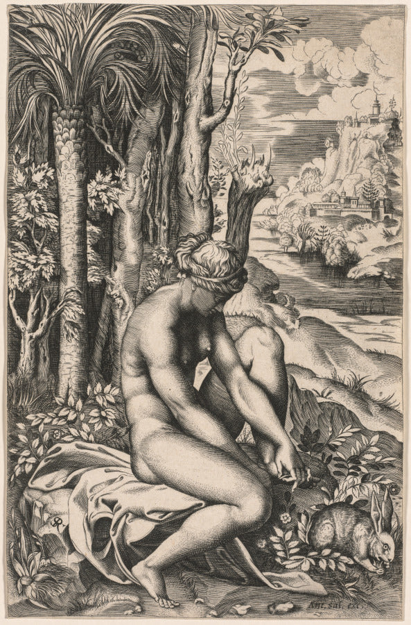 Venus Wounded by a Rose's Thorn by Marco Dente (Italian, c. 1486–1527) - Classic Art canvas print
