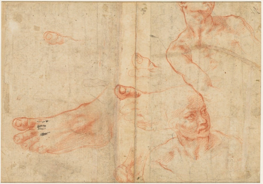 Figure Studies for the Sistine Ceiling verso by Michelangelo Buonarroti (Italian, 1475–1564) - Classic Art canvas print
