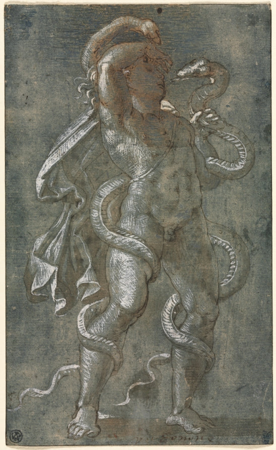 Man Entwined by Two Snakes by Giovanni Antonio da Pordenone (Italian, 1483/84–1539) - Classic Art canvas print