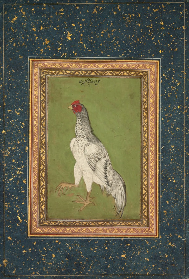 Rooster by  - Classic Art canvas print