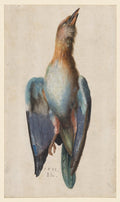Dead Blue Roller by Hans Hoffmann (German, 1545/50–1591/92) - Classic Art canvas print