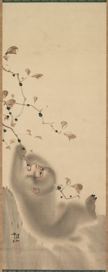 Monkey Hanging on to a Branch by Mori Sosen (Japanese, 1747–1821) - Classic Art canvas print