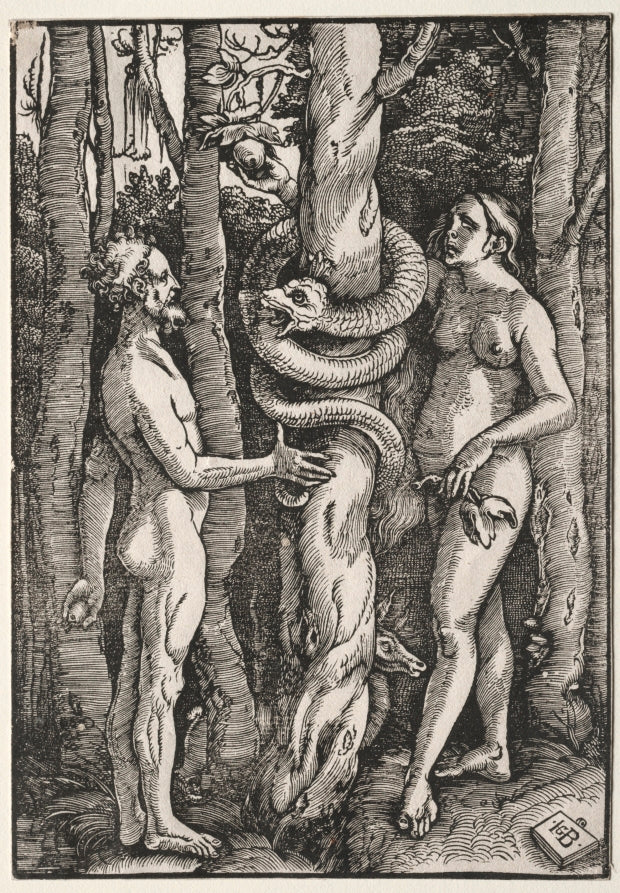 Adam and Eve by Hans Baldung (German, 1484/85–1545) - Classic Art canvas print