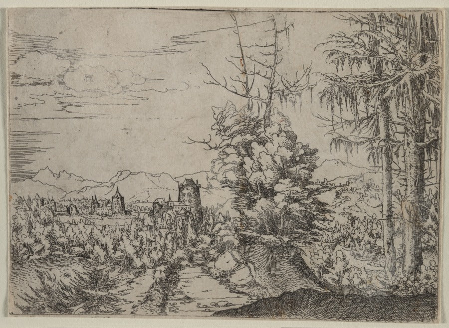 Landscape with Two Pines by Albrecht Altdorfer (German, c. 1480–1538) - Classic Art canvas print