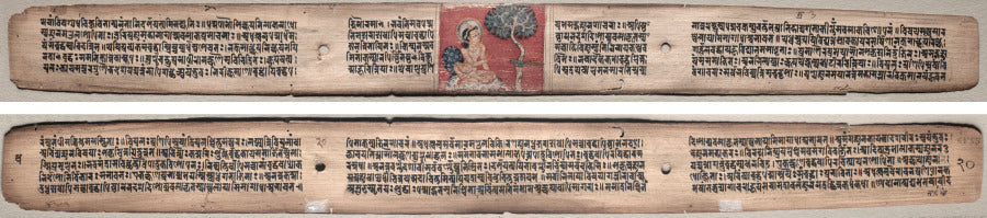 Folio 20 from a Gandavyuha-sutra Scripture of the Supreme Array Sudhana and a parrot recto Text verso by  - Classic Art canvas print