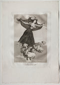 They Have Flown, Plate 61 by Francisco de Goya (Spanish, 1746–1828) - Romantic canvas print