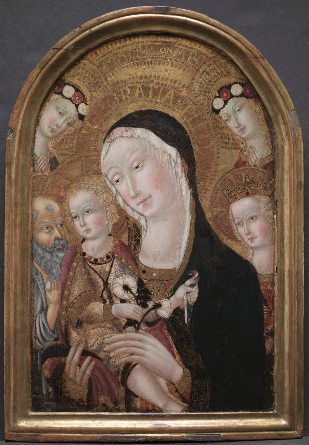 Virgin and Child with Saint Jerome and Saint Catherine of Alexandria by Carolino da Viterbo (Italian) - Classic Art canvas print