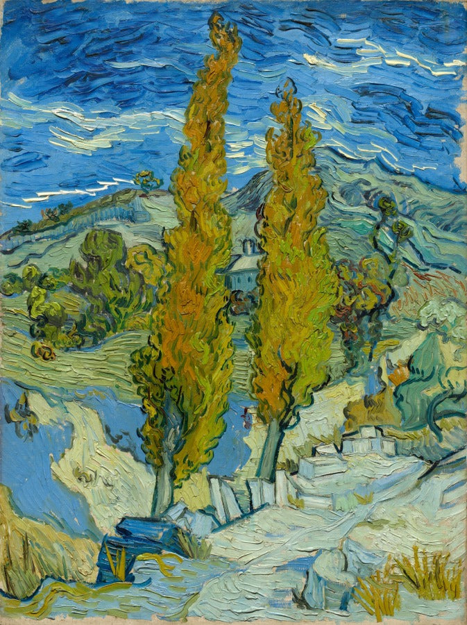 Two Poplars in the Alpilles near Saint-Rmy by Vincent van Gogh (Dutch, 1853–1890) - Post-Impressionist canvas print