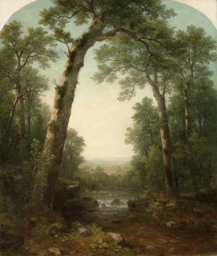 Forest Stream with Vista by Asher B. Durand (American, 1796–1886) - Classic Art canvas print