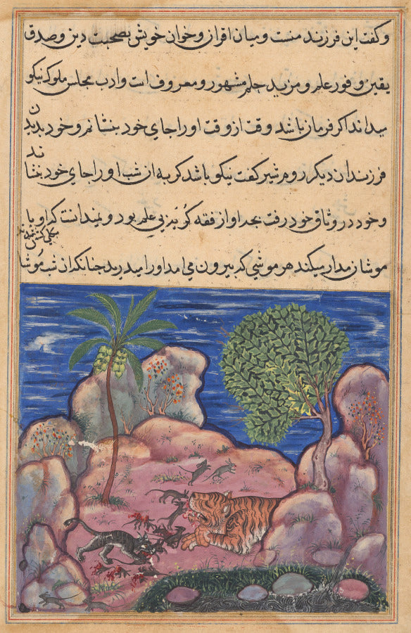 The cat attacks the mice which disturb the lion, from a Tuti-nama Tales of a Parrot Fifteenth Night by  - Classic Art canvas print