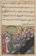 The daughter-in-law of the king of Banaras sees the jackal deprived of its food by a bird, as it unsuccessfully attempts to catch a fish, from a Tuti-nama Tales of a Parrot Sixteenth Night by  - Classic Art canvas print