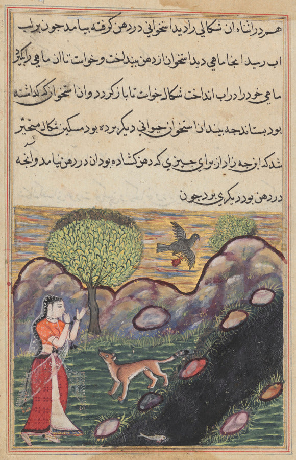The daughter-in-law of the king of Banaras sees the jackal deprived of its food by a bird, as it unsuccessfully attempts to catch a fish, from a Tuti-nama Tales of a Parrot Sixteenth Night by  - Classic Art canvas print