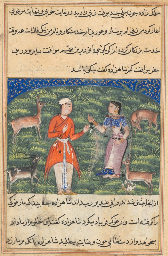 Nikfal, the fortune of the prince in the form of a woman, offers to accompany him, from a Tuti-nama Tales of a Parrot Eighteenth Night by  - Classic Art canvas print