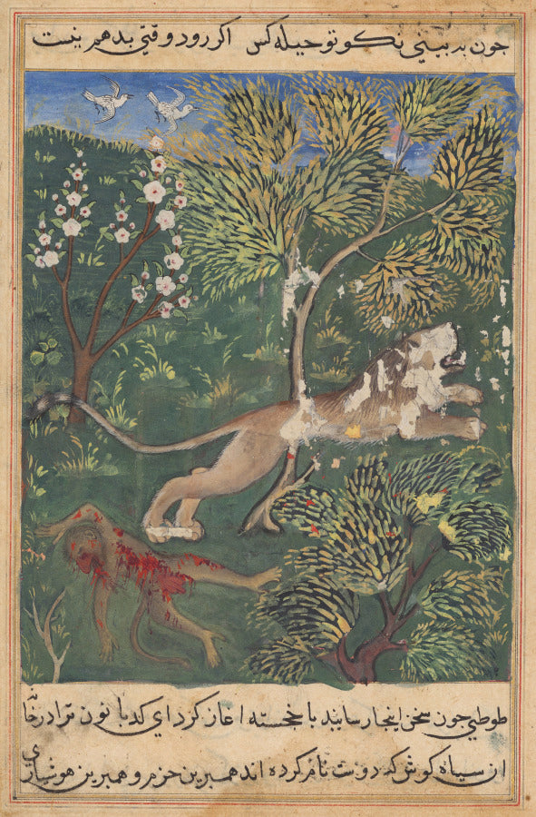 The lion, suspecting treachery on the part of the monkey, slays him and flees, from a Tuti-nama Tales of a Parrot Twenty-ninth Night by  - Classic Art canvas print