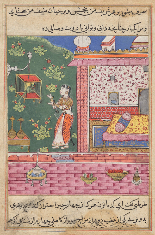 The Parrot Addresses Khujasta at the Beginning of the Thirtieth Night, from a Tuti-nama Tales of a Parrot by  - Classic Art canvas print