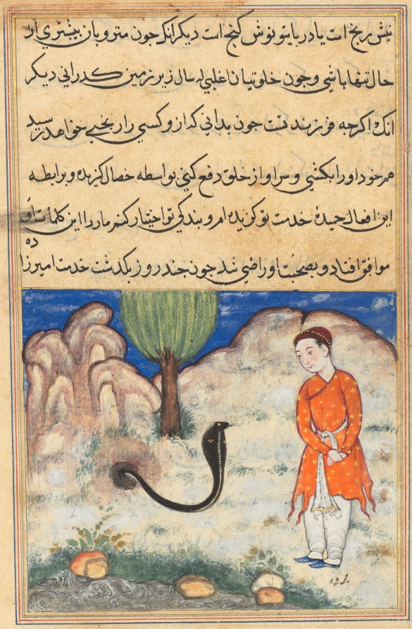 The prince, a son of the ruler of Sistan, enters the service of a snake, from a Tuti-nama Tales of a Parrot Thirty-seventh Night by  - Classic Art canvas print