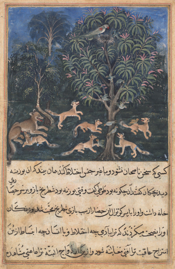 The parrot mother cautions her young on the danger of playing with foxes, from a Tuti-nama Tales of a Parrot Fifth Night by Dasavanta (Indian, d. 1584) - Classic Art canvas print