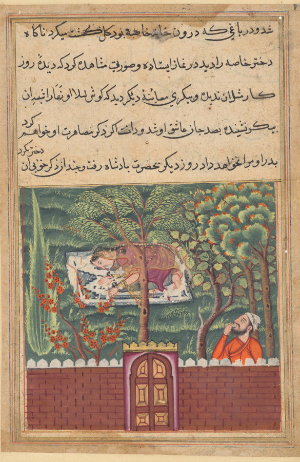 Khulasa, a vizier, sees the daughter of Khassa, another vizier, and covets her, from a Tuti-nama Tales of a Parrot Fifty-first Night by  - Classic Art canvas print
