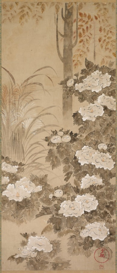 Peonies by Tatebayashi Kagei (Japanese, active mid-1700s) - Classic Art canvas print
