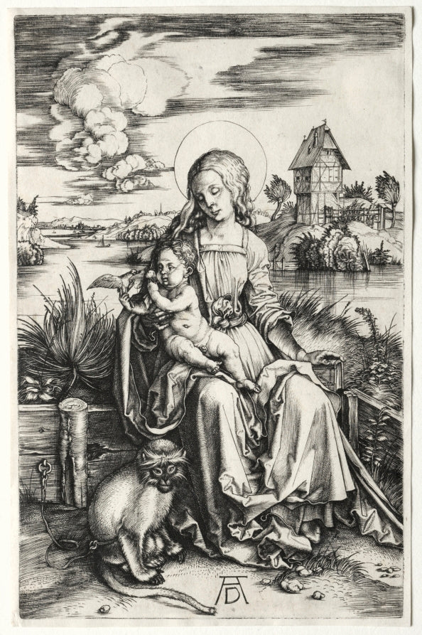 The Virgin and Child with a Monkey by Albrecht Dürer (German, 1471–1528) - Classic Art canvas print