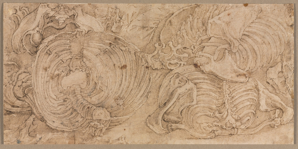 Rib Cages by Battista Franco (Italian, c. 1510–1561) - Classic Art canvas print