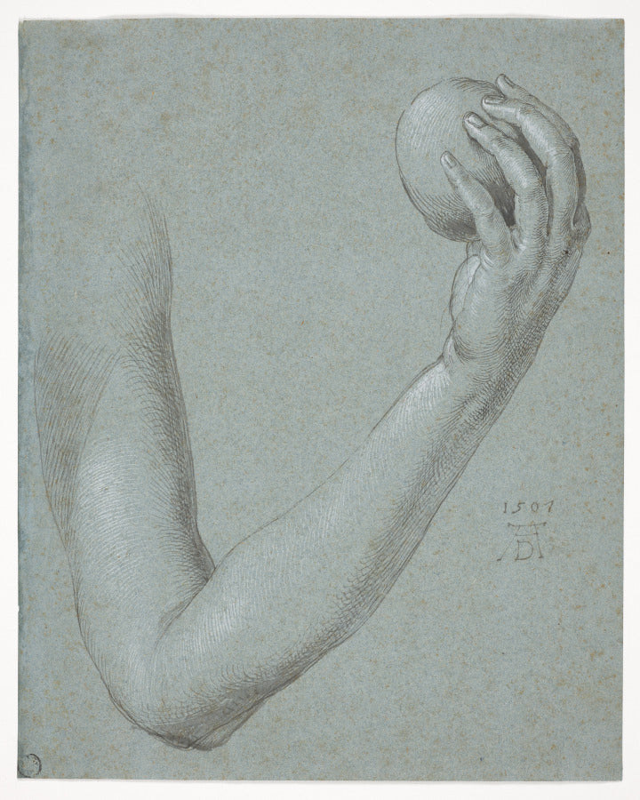 Arm of Eve by Albrecht Dürer (German, 1471–1528) - Classic Art canvas print