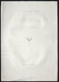 Title Plate by Odilon Redon (French, 1840–1916) - Symbolist canvas print