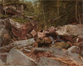 Study, North Conway, New Hampshire by David Johnson (American, 1827–1908) - Classic Art canvas print