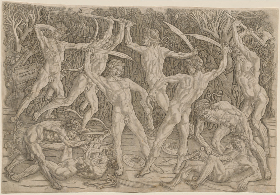 Battle of the Nudes by Antonio del Pollaiuolo (Italian, 1431/32–1498) - Classic Art canvas print