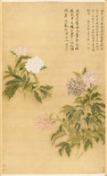 Herbaceous Peony by Yun Shouping (Chinese, 1633–1690) - Classic Art canvas print