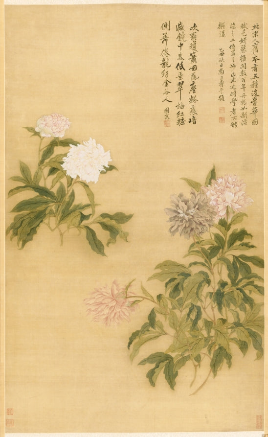 Herbaceous Peony by Yun Shouping (Chinese, 1633–1690) - Classic Art canvas print