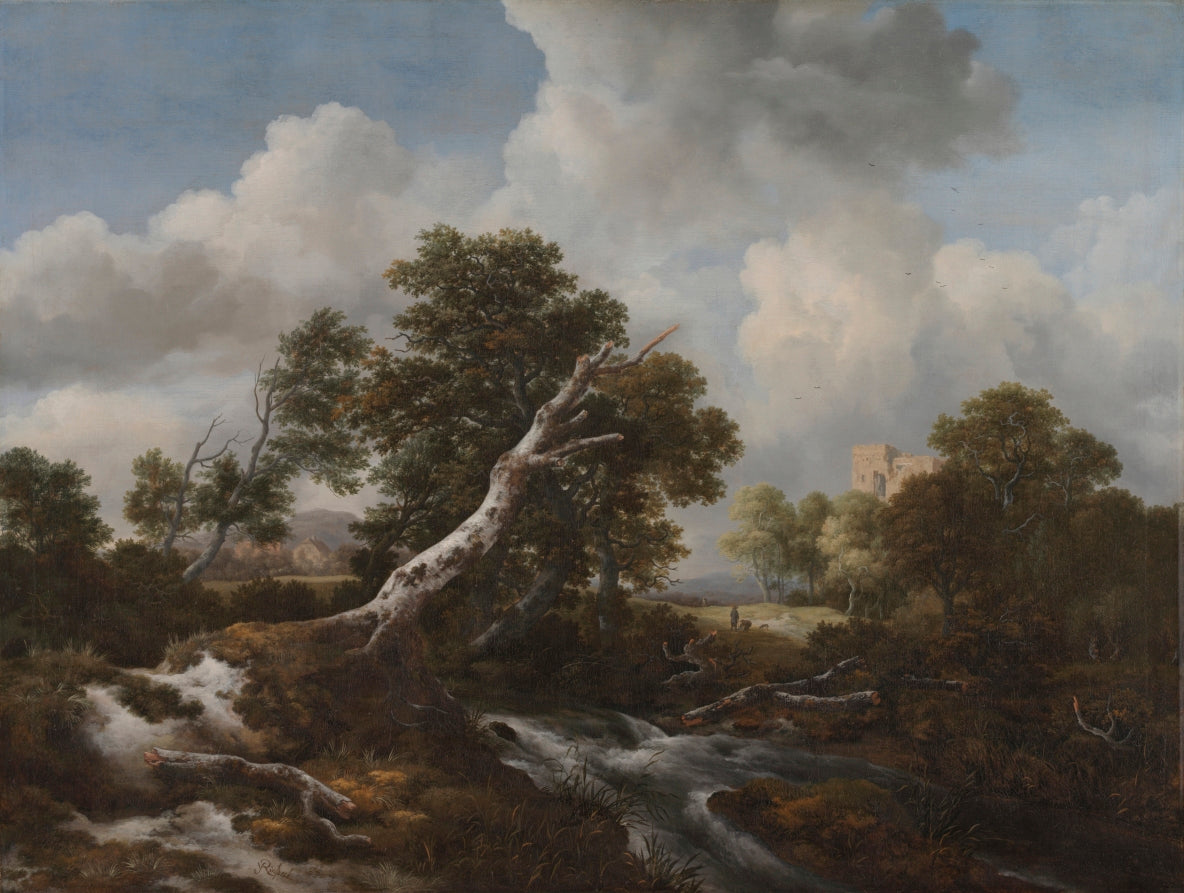 Low Waterfall in a Wooded Landscape with a Dead Beech Tree by Jacob van Ruisdael (Dutch, 1628/29–1682) - Classic Art canvas print