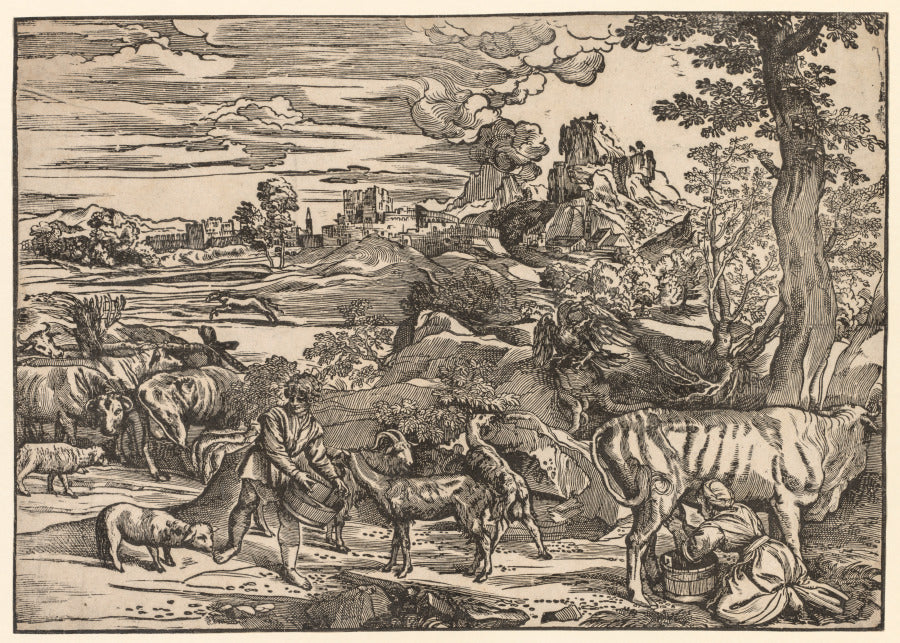 Landscape with a Milkmaid by Niccolo Boldrini (Italian, c. 1500–after 1566) - Classic Art canvas print