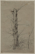 Tree by Ludwig Ferdinand Schnorr von Carolsfeld (German, 1788–1853) - Classic Art canvas print