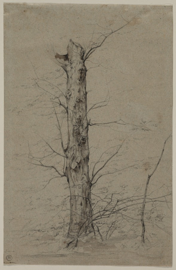 Tree by Ludwig Ferdinand Schnorr von Carolsfeld (German, 1788–1853) - Classic Art canvas print